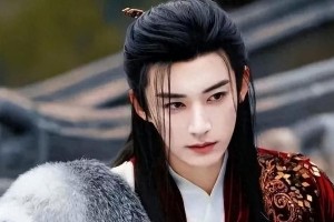 内娱十大绝色美男：颜值与演技并存