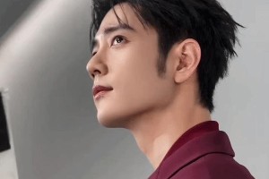 精选图片集锦：视觉盛宴一览