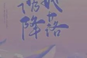 《诱她降落》《他在云之南》《傻妻》完结小说推荐