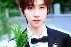 贺峻霖北影节红毯惊艳亮相 新中式西装尽显贵公子风范