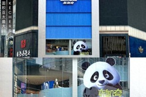 斯凯奇丑鞋逆袭：实用主义如何征服中国消费者