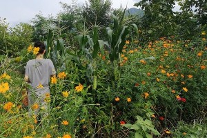 殷桃豪宅生活与感情经历揭秘