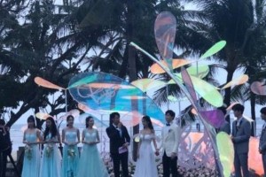 付辛博颖儿巴厘岛浪漫婚礼 深情告白感动全场
