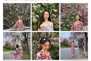 钟楚曦四月生图直出美炸热搜 红紫长裙封神