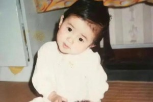 白鹿演艺生涯与爱情故事：95后小花的成长与蜕变