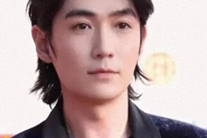 朱一龙红毯生图封神，男明星颜值碾压女星引热议