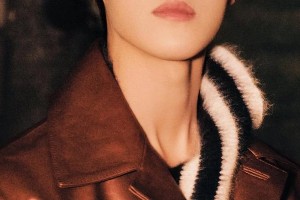 精选图片集：视觉盛宴一览