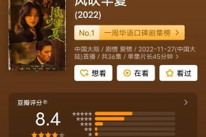 赵丽颖《风吹半夏》演绎钢铁女强人，豆瓣8.4分口碑爆棚