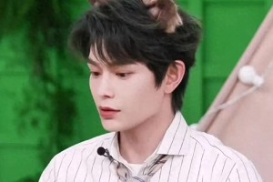 丁禹兮演技获赞：晋江新星的成长与未来