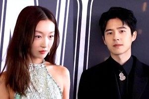 刘昊然：从顶流到沉寂的演艺之路