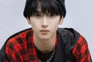 严浩翔粉丝维权事件：原创歌曲争议引爆热搜