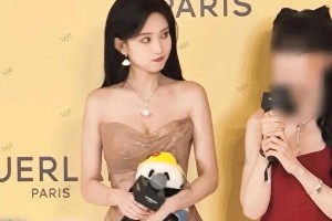 精选图片集锦：视觉盛宴一览